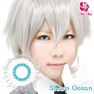 アシストシュシュ ハスキーアイワンデー シャープオーシャン(1箱6枚入り)