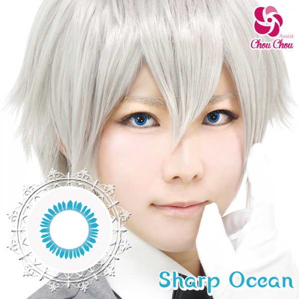 アシストシュシュ ハスキーアイワンデー シャープオーシャン(1箱6枚入り)