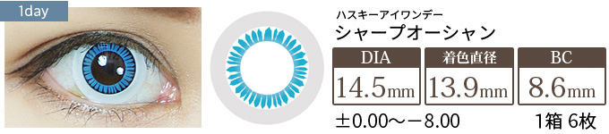 アシストシュシュ ハスキーアイワンデー シャープオーシャン(1箱6枚入り)