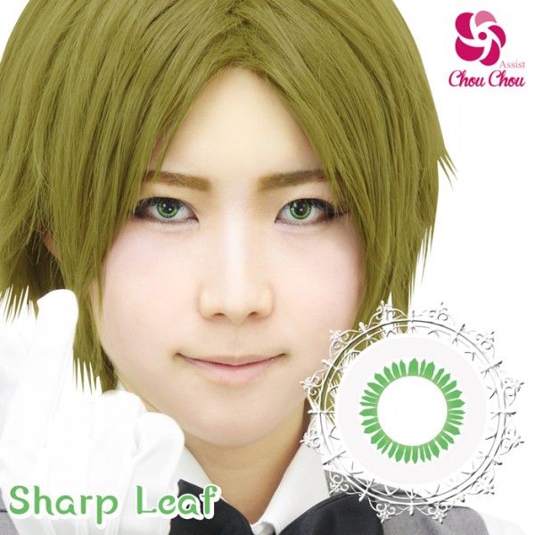 アシストシュシュ ハスキーアイワンデー シャープリーフ(1箱6枚入り)