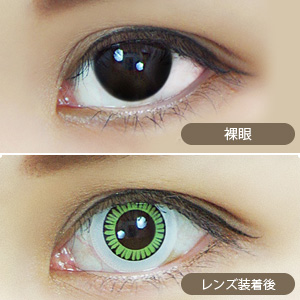 アシストシュシュ ハスキーアイワンデー シャープリーフ(1箱6枚入り)