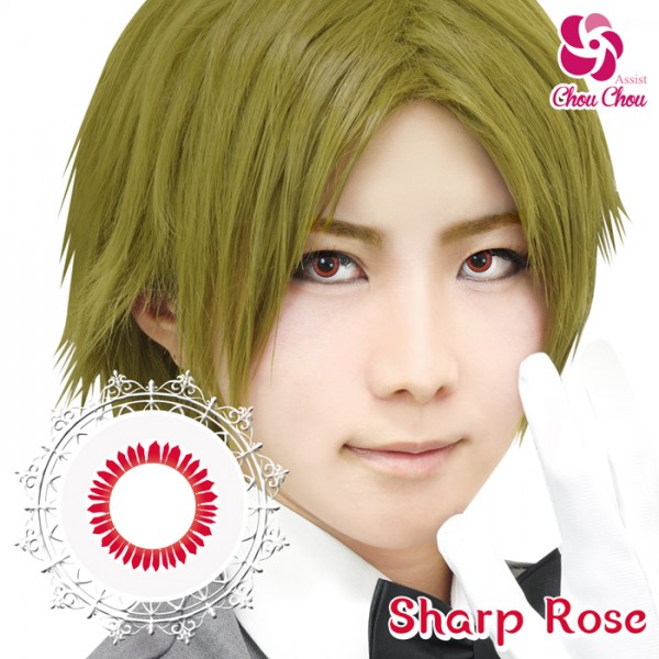 アシストシュシュ ハスキーアイワンデー シャープローズ(1箱6枚入り)