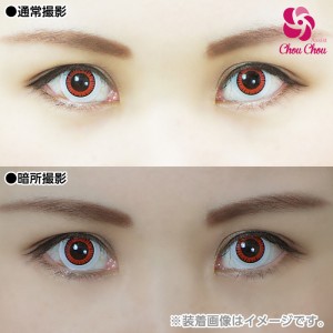 アシストシュシュ ハスキーアイワンデー シャープローズ(1箱6枚入り)