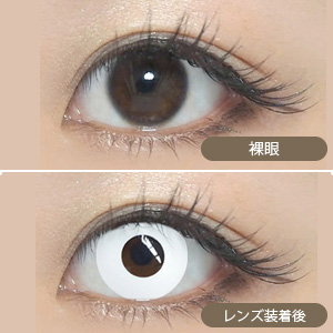 モテコン ハロウィンナイトfeat.EMEMON(エメモン) ホラーホワイト 度なし (1箱1枚入り)