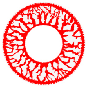 モテコン ハロウィンナイトfeat.EMEMON(エメモン) ホラーブラッド 度なし(1箱1枚入り)