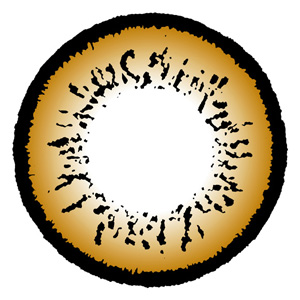 コンタクトフィルム ツートーンブラウン【15.0mm】度なし(1箱2枚入り)