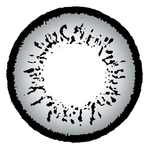 コンタクトフィルム ツートーングレー【15.0mm】度なし(1箱2枚入り)