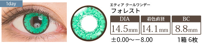 エティア クールワンデー フォレスト(1箱6枚入り)
