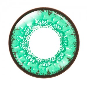 エティア クールワンデー フォレスト(1箱6枚入り)