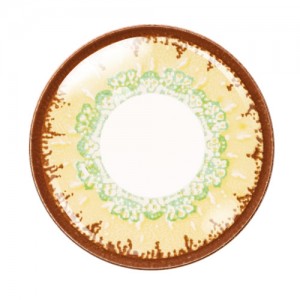 エティア クールワンデー ラ・フランス(1箱6枚入り)