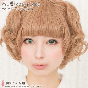 エティア クールワンデー ラ・フランス(1箱6枚入り)