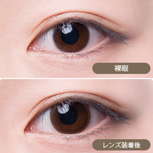 【セール中】アレグロ2ウィーク フィーネブラウン(1箱4枚入り)