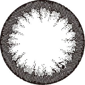 【セール中】アレグロ2ウィーク ソプラノブラック(1箱4枚入り)