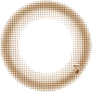 【セール中】アレグロ2ウィーク ワルツモカ(1箱4枚入り)