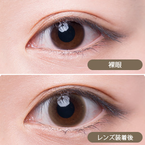 【セール中】アレグロ2ウィーク ワルツモカ(1箱4枚入り)