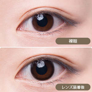 【セール中】アレグロ2ウィーク ワルツブラック(1箱4枚入り)