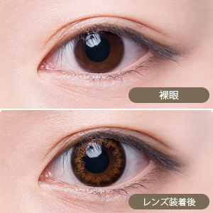 【セール中】アレグロ2ウィーク テノールブラウン(1箱4枚入り)