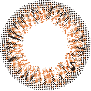 【セール中】アレグロ2ウィーク ロンドブラウン(1箱4枚入り)