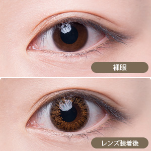 【セール中】アレグロ2ウィーク ロンドブラウン(1箱4枚入り)