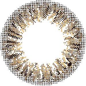 【セール中】アレグロ2ウィーク ロンドアンバー(1箱4枚入り)