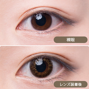 【セール中】アレグロ2ウィーク ロンドアンバー(1箱4枚入り)