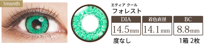 エティア クール フォレスト 度なし(1箱2枚入り)