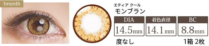 エティア クール グレージュ 度なし(1箱2枚入り)