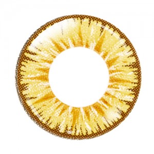 エティア ルフレマンスリー ポラリス