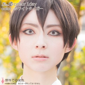 エティア クールワンデー ホワイトタイガー(1箱6枚入り)