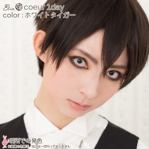 エティア クールワンデー ホワイトタイガー(1箱6枚入り)