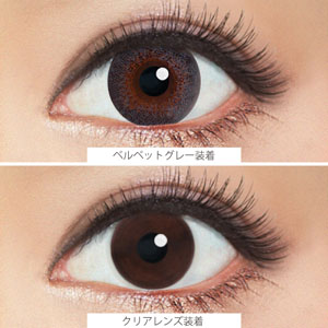 ベイビーリシャス ベルベットグレー(1箱10枚入り)