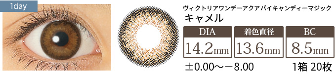 ヴィクトリアワンデー アクア キャメル(1箱20枚入り)