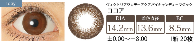ヴィクトリアワンデー アクア ココア(1箱20枚入り)