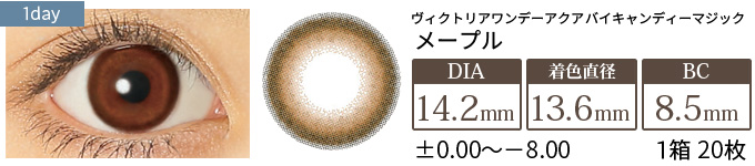 ヴィクトリアワンデー アクア メープル(1箱20枚入り)