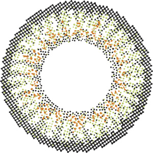 ラバーズカラーマンスリー オリーブアッシュ 度なし(1箱2枚入り)