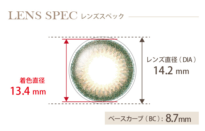 ユーザーセレクトワンデー シトラスブラウン(1箱10枚入り) DIA(レンズ直径) 着色直径 BC(ベースカーブ)
