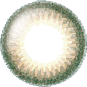 ユーザーセレクトワンデー シトラスブラウン(1箱10枚入り)