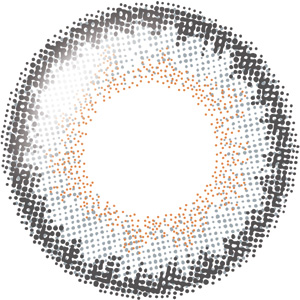 ユーザーセレクトワンデー ミスティーグレー(1箱10枚入り)