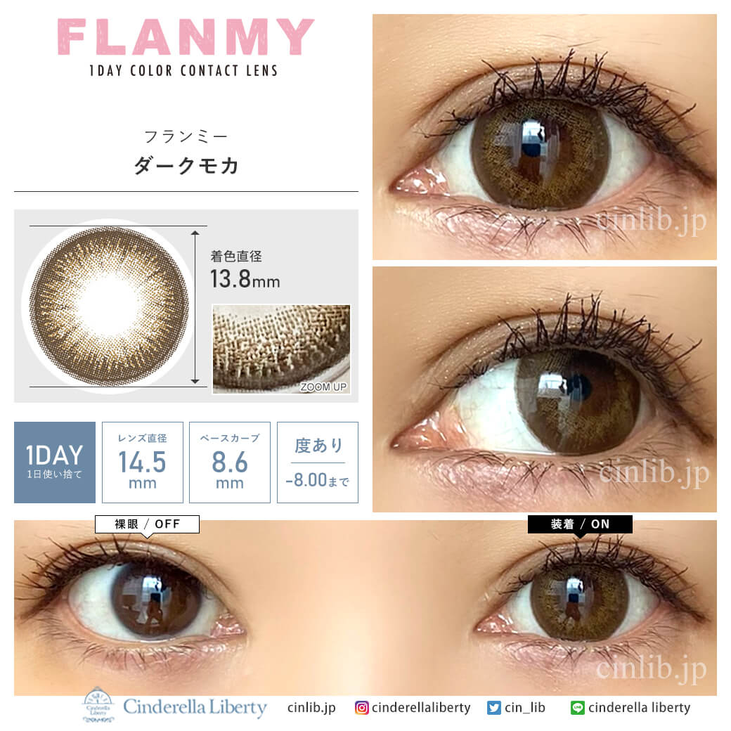 フランミー ダークモカ(1箱30枚入り) カラコン 着用・装着画レポ