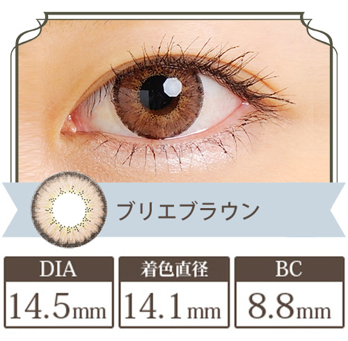 クオーレ ドンナシリーズ ブリエブラウン