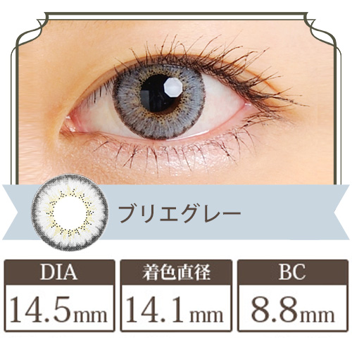 クオーレ ドンナシリーズ ブリエグレー