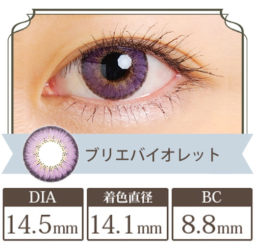 クオーレ ドンナシリーズ ブリエバイオレット