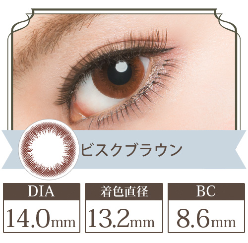 ブリジット ビスクブラウン