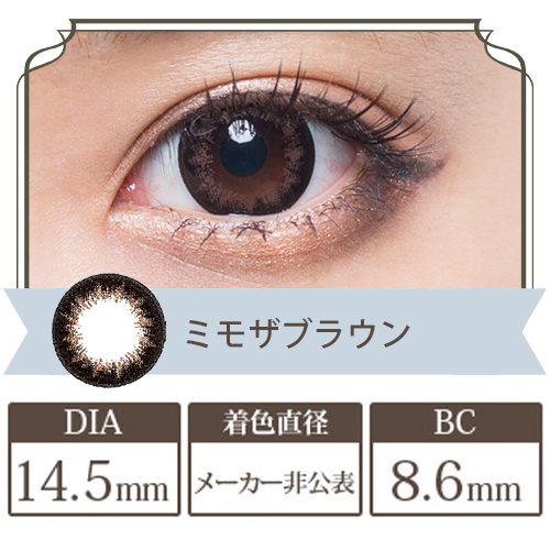 フラワーアイズワンデー ミモザブラウン