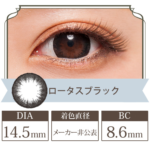 フラワーアイズR ロータスブラック