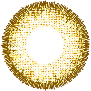 アーバンヘーゼル