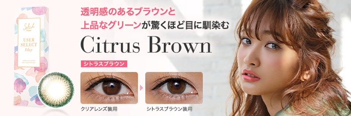 ユーザーセレクトワンデー シトラスブラウン(1箱10枚入り)