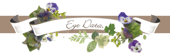 EYEデータ