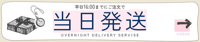 当日発送カラコン一覧